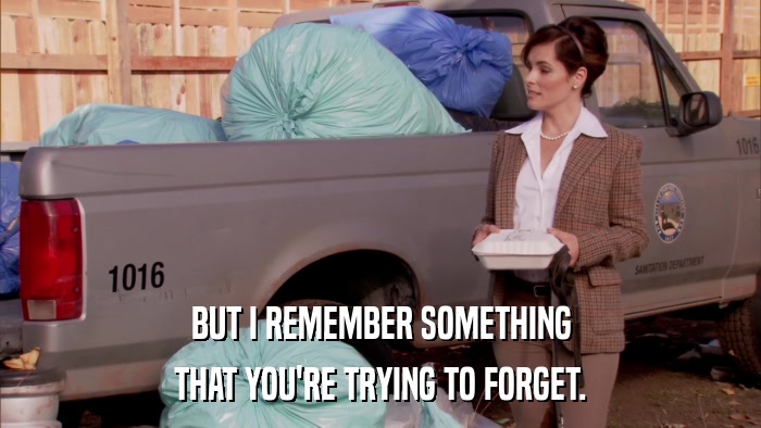 BUT I REMEMBER SOMETHING THAT YOU'RE TRYING TO FORGET. 