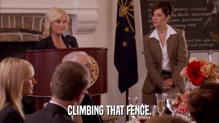 CLIMBING THAT FENCE.  