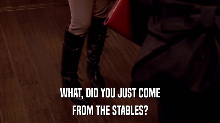 WHAT, DID YOU JUST COME FROM THE STABLES? 