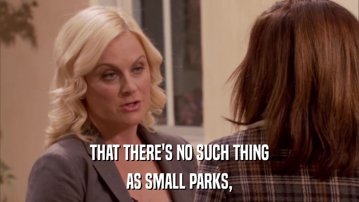 THAT THERE'S NO SUCH THING AS SMALL PARKS, 