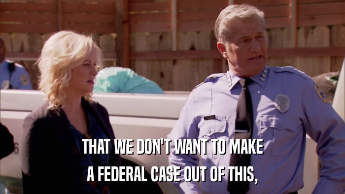 THAT WE DON'T WANT TO MAKE A FEDERAL CASE OUT OF THIS, 