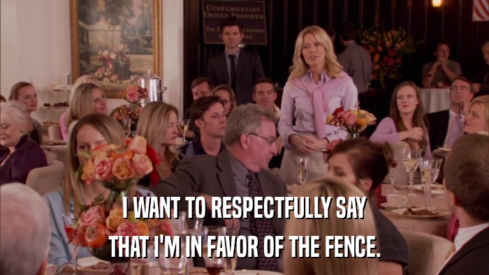 I WANT TO RESPECTFULLY SAY THAT I'M IN FAVOR OF THE FENCE. 