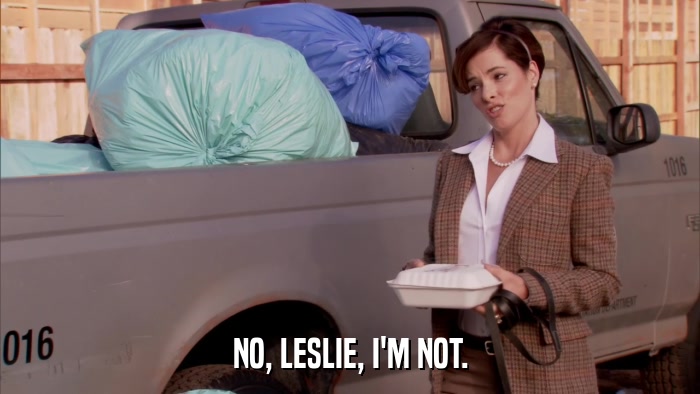 NO, LESLIE, I'M NOT.  