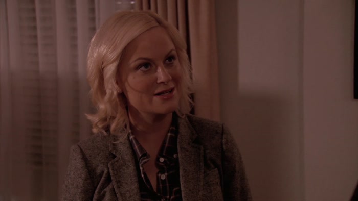 WHY WOULD I THROW RON SWANSON AN ANN PERKINS PARTY? 