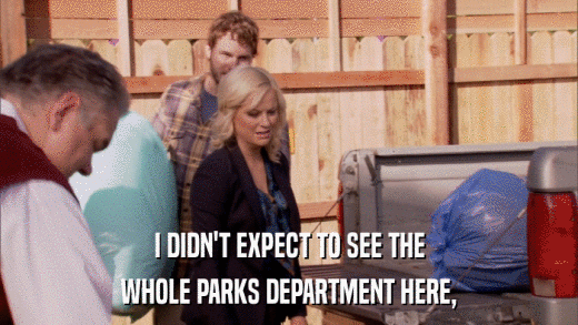 I DIDN'T EXPECT TO SEE THE WHOLE PARKS DEPARTMENT HERE, 