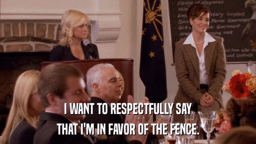 I WANT TO RESPECTFULLY SAY THAT I'M IN FAVOR OF THE FENCE. 
