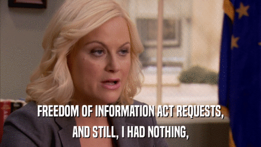 FREEDOM OF INFORMATION ACT REQUESTS, AND STILL, I HAD NOTHING, 