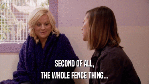 SECOND OF ALL, THE WHOLE FENCE THING... 