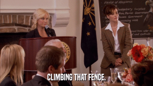 CLIMBING THAT FENCE.  