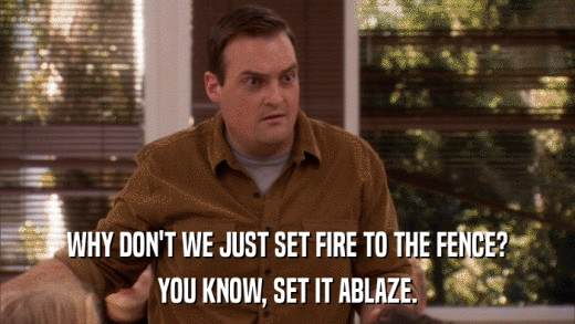 WHY DON'T WE JUST SET FIRE TO THE FENCE? YOU KNOW, SET IT ABLAZE. 