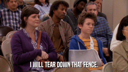 I WILL TEAR DOWN THAT FENCE.  