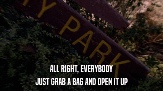 ALL RIGHT, EVERYBODY JUST GRAB A BAG AND OPEN IT UP 