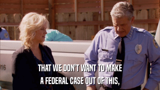 THAT WE DON'T WANT TO MAKE A FEDERAL CASE OUT OF THIS, 
