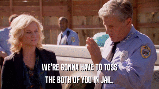 WE'RE GONNA HAVE TO TOSS THE BOTH OF YOU IN JAIL. 