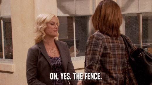 OH, YES. THE FENCE.  