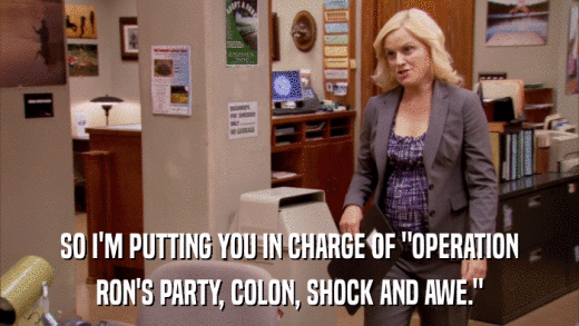 SO I'M PUTTING YOU IN CHARGE OF 