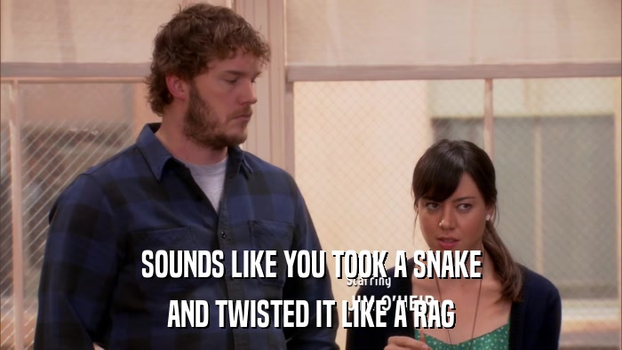 SOUNDS LIKE YOU TOOK A SNAKE AND TWISTED IT LIKE A RAG 