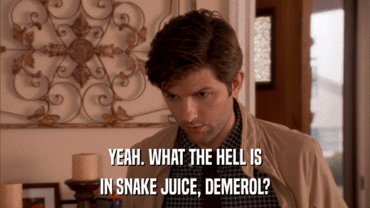 YEAH. WHAT THE HELL IS IN SNAKE JUICE, DEMEROL? 