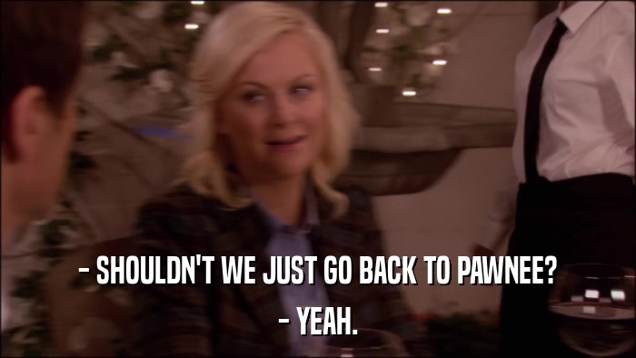 - SHOULDN'T WE JUST GO BACK TO PAWNEE? - YEAH. 