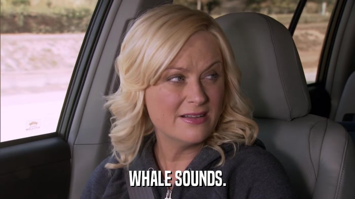 WHALE SOUNDS.  