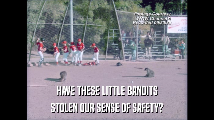 HAVE THESE LITTLE BANDITS STOLEN OUR SENSE OF SAFETY? 