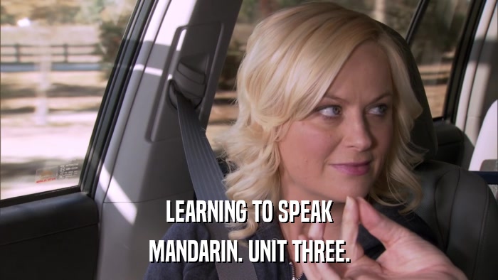LEARNING TO SPEAK MANDARIN. UNIT THREE. 
