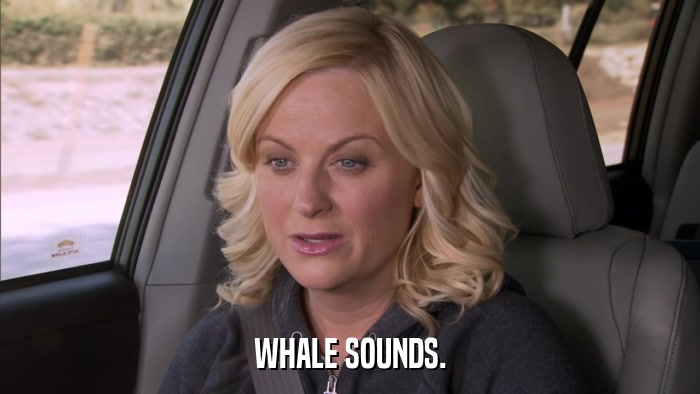 WHALE SOUNDS.  