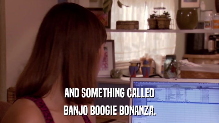 AND SOMETHING CALLED BANJO BOOGIE BONANZA. 