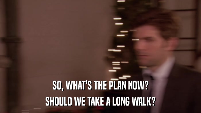 SO, WHAT'S THE PLAN NOW? SHOULD WE TAKE A LONG WALK? 