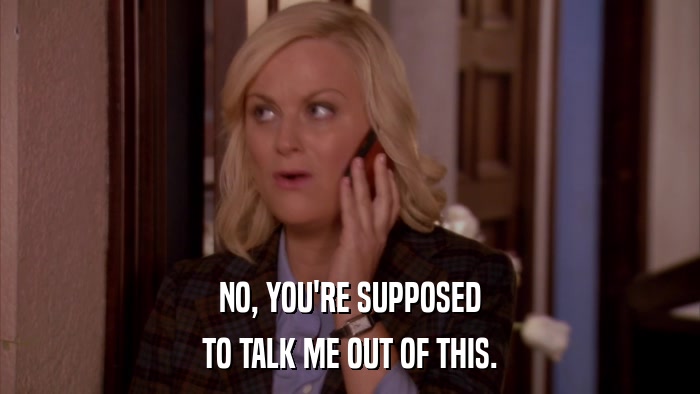 NO, YOU'RE SUPPOSED TO TALK ME OUT OF THIS. 