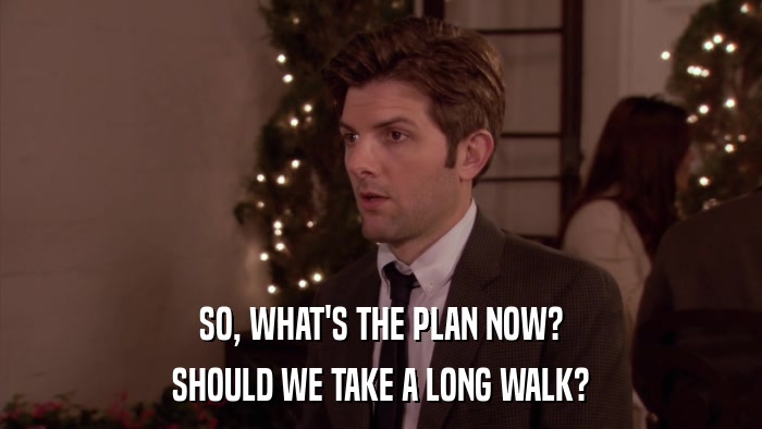 SO, WHAT'S THE PLAN NOW? SHOULD WE TAKE A LONG WALK? 