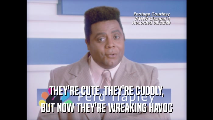 THEY'RE CUTE, THEY'RE CUDDLY, BUT NOW THEY'RE WREAKING HAVOC 
