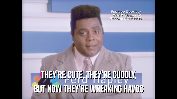 THEY'RE CUTE, THEY'RE CUDDLY, BUT NOW THEY'RE WREAKING HAVOC 