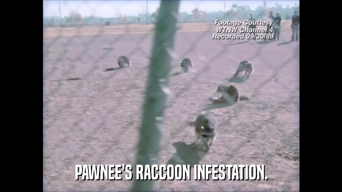 PAWNEE'S RACCOON INFESTATION.  
