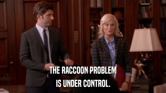 THE RACCOON PROBLEM IS UNDER CONTROL. 