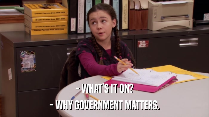 - WHAT'S IT ON? - WHY GOVERNMENT MATTERS. 