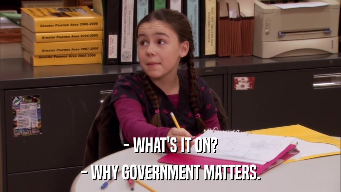 - WHAT'S IT ON? - WHY GOVERNMENT MATTERS. 