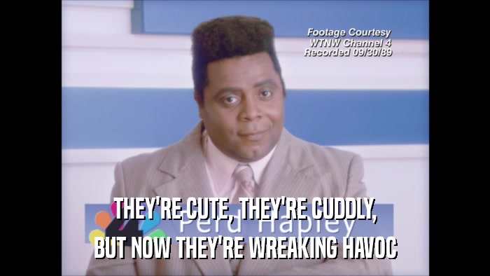 THEY'RE CUTE, THEY'RE CUDDLY, BUT NOW THEY'RE WREAKING HAVOC 