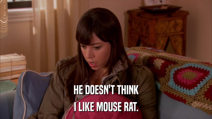 HE DOESN'T THINK I LIKE MOUSE RAT. 