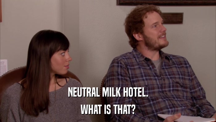 NEUTRAL MILK HOTEL. WHAT IS THAT? 