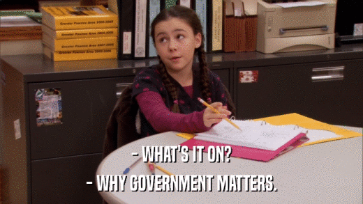 - WHAT'S IT ON? - WHY GOVERNMENT MATTERS. 