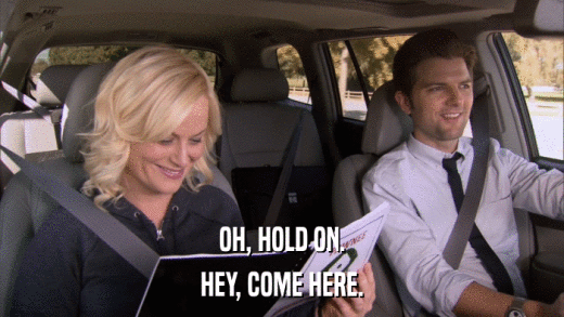 OH, HOLD ON. HEY, COME HERE. 