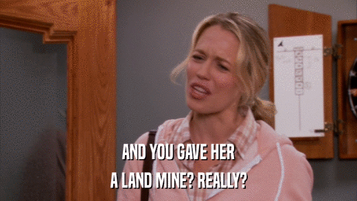 AND YOU GAVE HER A LAND MINE? REALLY? 