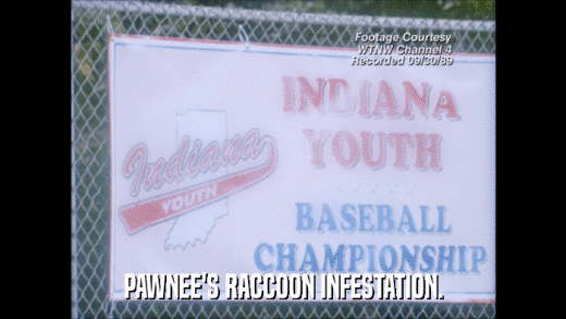 PAWNEE'S RACCOON INFESTATION.  