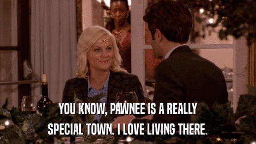 YOU KNOW, PAWNEE IS A REALLY SPECIAL TOWN. I LOVE LIVING THERE. 