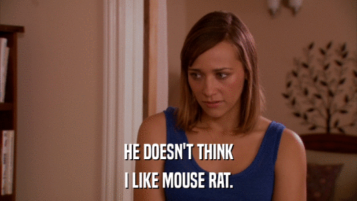 HE DOESN'T THINK I LIKE MOUSE RAT. 
