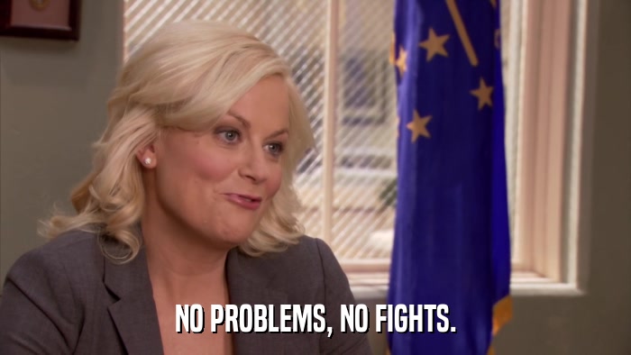 NO PROBLEMS, NO FIGHTS.  