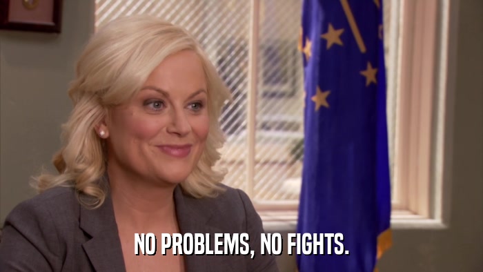 NO PROBLEMS, NO FIGHTS.  