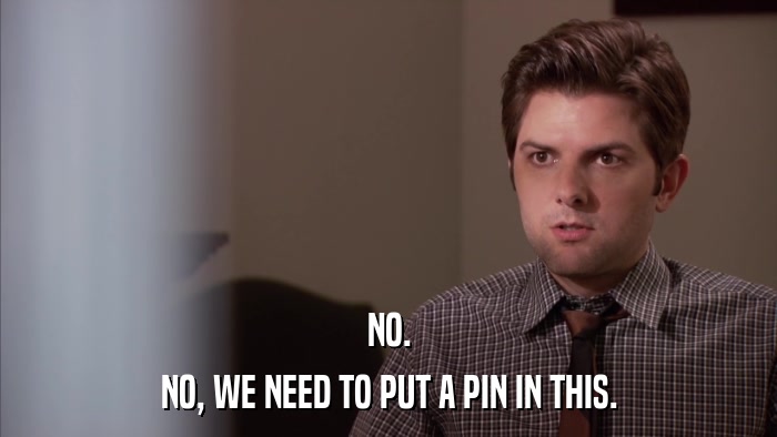 NO. NO, WE NEED TO PUT A PIN IN THIS. 
