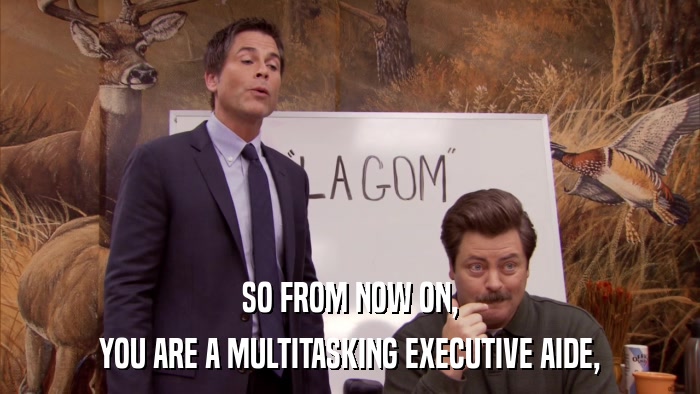 SO FROM NOW ON, YOU ARE A MULTITASKING EXECUTIVE AIDE, 